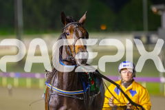 2025_PACEPIX_GP08072025_Race9_HighviewRozi_WIN_WEB-30