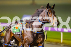 2025_PACEPIX_GP08072025_Race9_HighviewRozi_WIN_WEB-4