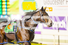 2025_PACEPIX_GP08072025_Race9_HighviewRozi_WIN_WEB-5