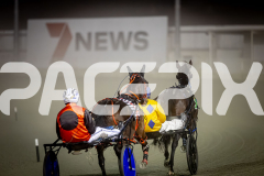 2025_PACEPIX_GP08072025_Race9_HighviewRozi_WIN_WEB-6