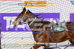 2026_PACEPIX_GP24072026_RACE9_CaptainsSaidSo_WIN_WEB-12