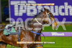 2026_PACEPIX_GP24072026_RACE9_CaptainsSaidSo_WIN_WEB-3
