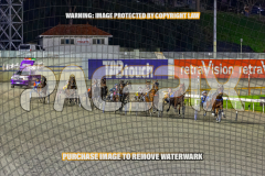 2026_PACEPIX_GP24072026_RACE9_CaptainsSaidSo_WIN_WEB-4