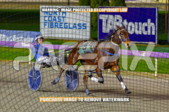 2026_PACEPIX_GP24072026_RACE9_CaptainsSaidSo_WIN_WEB-7