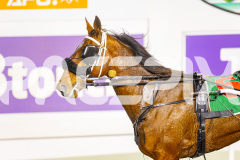 2025_PACEPIX_GP11072025_Race9_ChaseMe_WIN_WEB-18