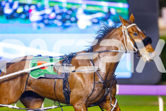2025_PACEPIX_GP11072025_Race9_ChaseMe_WIN_WEB-4