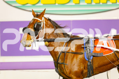 2025_PACEPIX_GP23052025_RACE9_ChaseMe_WIN_WEB-19