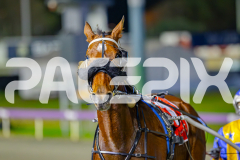 2025_PACEPIX_GP23052025_RACE9_ChaseMe_WIN_WEB-22