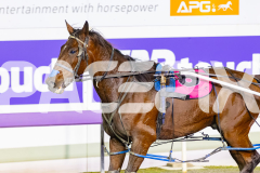 2026_Pacepix_GP28042026_RACE9_CrackaTinny_WIN_WEB-11