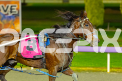 2026_Pacepix_GP28042026_RACE9_CrackaTinny_WIN_WEB-9