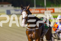 2025_PACEPIX_GP25072025_Race9_RubyLou_WIN_WEB-15