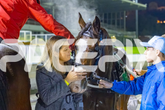 2025_PACEPIX_GP25072025_Race9_RubyLou_WIN_WEB-20