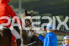 2025_PACEPIX_GP25072025_Race9_RubyLou_WIN_WEB-22