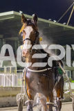 2025_PACEPIX_GP25072025_Race9_RubyLou_WIN_WEB-23