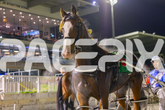 2025_PACEPIX_GP25072025_Race9_RubyLou_WIN_WEB-24