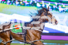 2025_PACEPIX_GP25072025_Race9_RubyLou_WIN_WEB-4