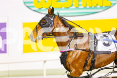 2025_PACEPIX_GP04072025_Race9_Crunchnsip_WIN_WEB-15