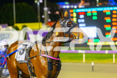 2025_PACEPIX_GP04072025_Race9_Crunchnsip_WIN_WEB-16