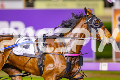 2025_PACEPIX_GP04072025_Race9_Crunchnsip_WIN_WEB-5
