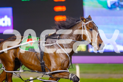 2025_PACEPIX_GP25042025_RACE9_CycloneJordy_WIN_WEB-10