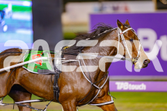 2025_PACEPIX_GP25042025_RACE9_CycloneJordy_WIN_WEB-11