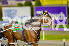 2025_PACEPIX_GP25042025_RACE9_CycloneJordy_WIN_WEB-18