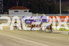 2025_PACEPIX_GP11112025_RACE9_DearDolly_WIN_WEB-1