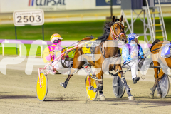 2025_PACEPIX_GP11112025_RACE9_DearDolly_WIN_WEB-10
