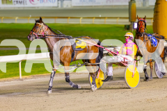 2025_PACEPIX_GP11112025_RACE9_DearDolly_WIN_WEB-13