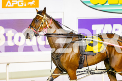 2025_PACEPIX_GP11112025_RACE9_DearDolly_WIN_WEB-14