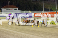2025_PACEPIX_GP11112025_RACE9_DearDolly_WIN_WEB-2
