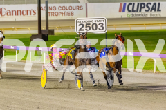 2025_PACEPIX_GP11112025_RACE9_DearDolly_WIN_WEB-3