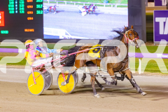 2025_PACEPIX_GP11112025_RACE9_DearDolly_WIN_WEB-6