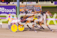 2025_PACEPIX_GP11112025_RACE9_DearDolly_WIN_WEB-7