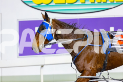 2026_PACEPIX_GP05062026_RACE9_DoubleParked_WIN_WEB-17