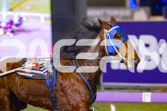 2026_PACEPIX_GP05062026_RACE9_DoubleParked_WIN_WEB-3