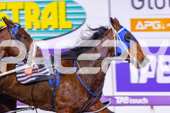 2026_PACEPIX_GP05062026_RACE9_DoubleParked_WIN_WEB-4