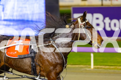 2026_PACEPIX_GP12062026_RACE9_EastbroChrissy_WIN_WEB-20