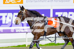 2026_PACEPIX_GP12062026_RACE9_EastbroChrissy_WIN_WEB-23