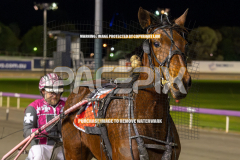 Essence-Of-Royalty_04-08-2026_WIN_Gloucester-Park_9__02