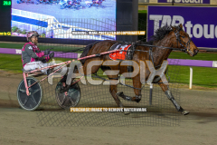 Essence-Of-Royalty_04-08-2026_WIN_Gloucester-Park_9__07
