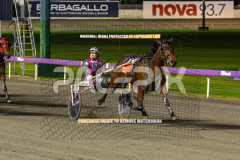 Essence-Of-Royalty_04-08-2026_WIN_Gloucester-Park_9__08