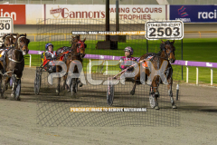 Essence-Of-Royalty_04-08-2026_WIN_Gloucester-Park_9__09