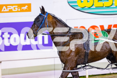 2026_PACEPIX_GP10072026_RACE9_FlyinDisco_WIN_WEB-12