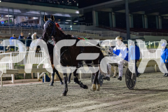 2026_PACEPIX_GP10072026_RACE9_FlyinDisco_WIN_WEB-15