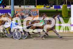 2026_PACEPIX_GP10072026_RACE9_FlyinDisco_WIN_WEB-6
