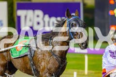 2026_PACEPIX_GP10072026_RACE9_FlyinDisco_WIN_WEB-9