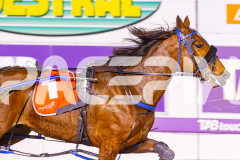 2025_PACEPIX_GP10102025_RACE9_francoSheriff_WIN_WEB-10