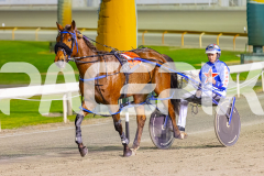 2025_PACEPIX_GP10102025_RACE9_francoSheriff_WIN_WEB-23