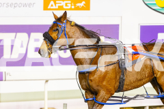 2025_PACEPIX_GP10102025_RACE9_francoSheriff_WIN_WEB-25